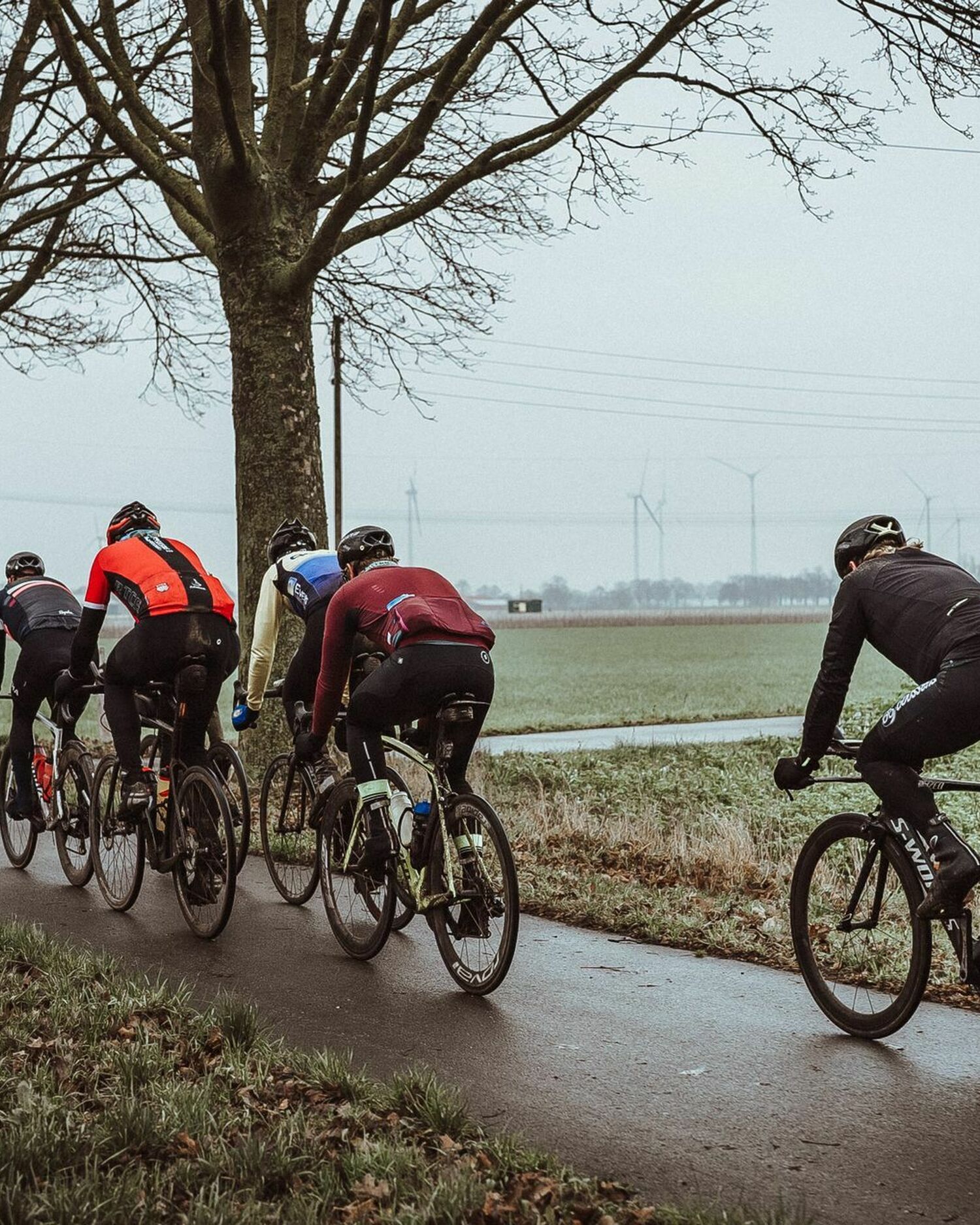 4e8fda8f fb21 4c62 9208 298306cd80a5